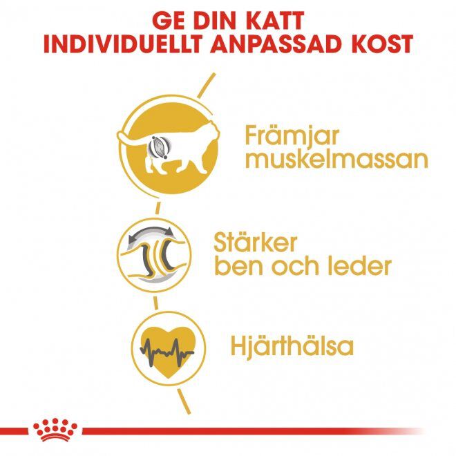 Royal Canin British Shorthair Adult torrfoder för katt