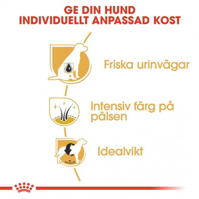 Royal Canin Miniature Schnauzer Adult torrfoder för hund