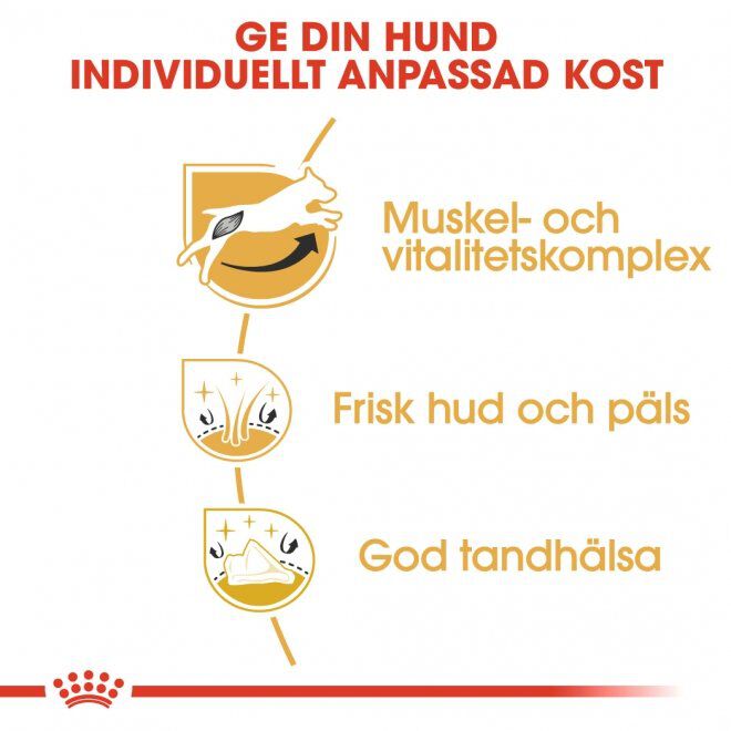 Royal Canin Jack Russel Adult torrfoder för hund