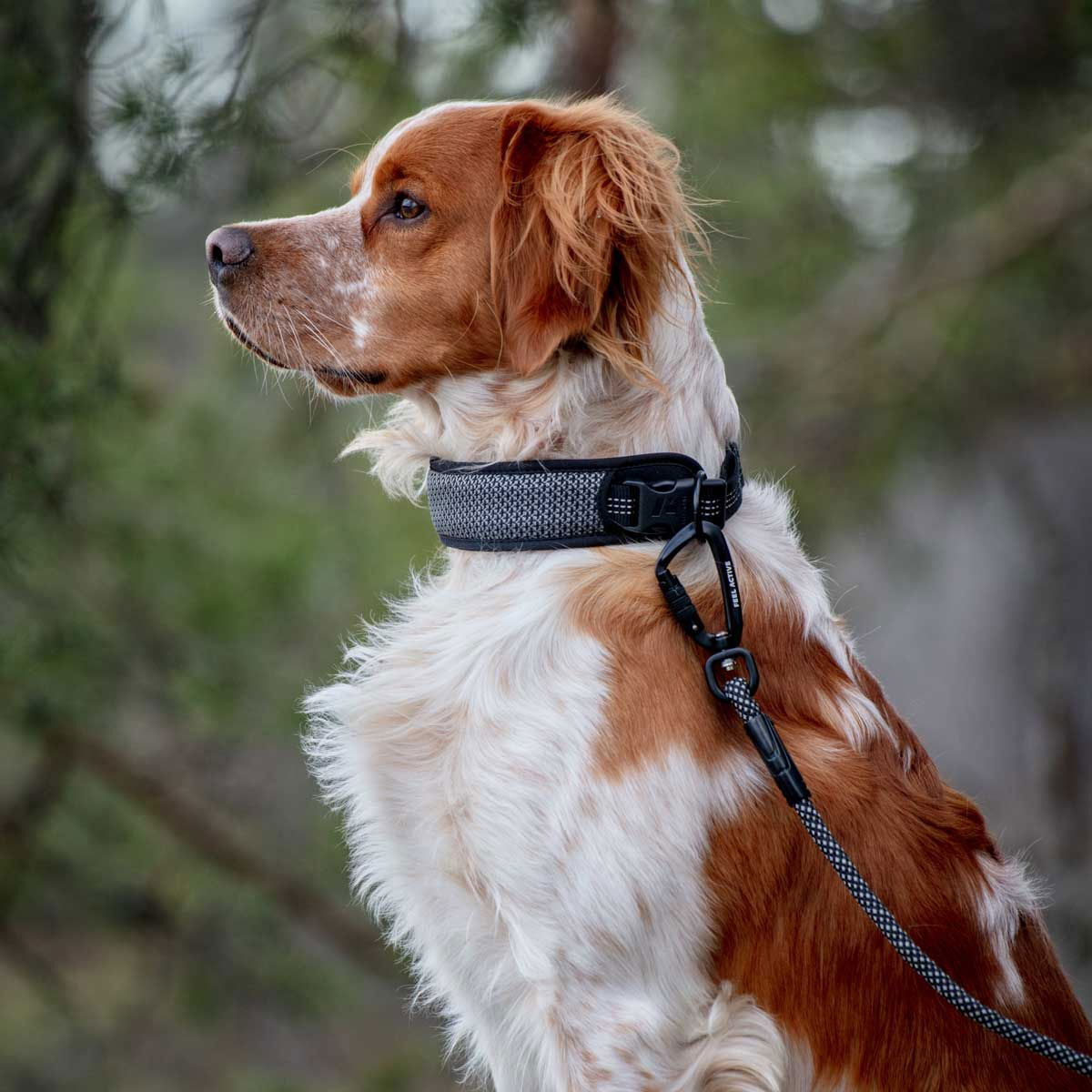 NOT IN USE Feel Active Rope Koppelmed neoprene handtag och karbinhake Röd/Rosa 11mm