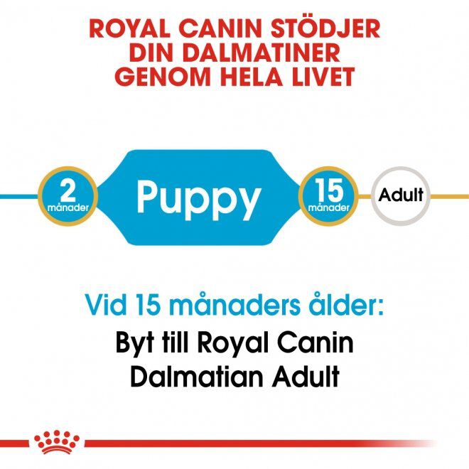 Royal Canin Dalmatian Junior Puppy torrfoder för hundvalp