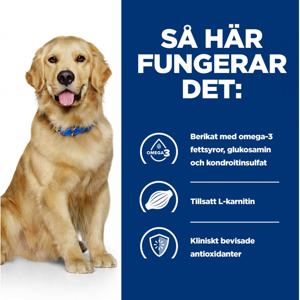 Hills Diet Dog j/d Reduced Calorie 4kg