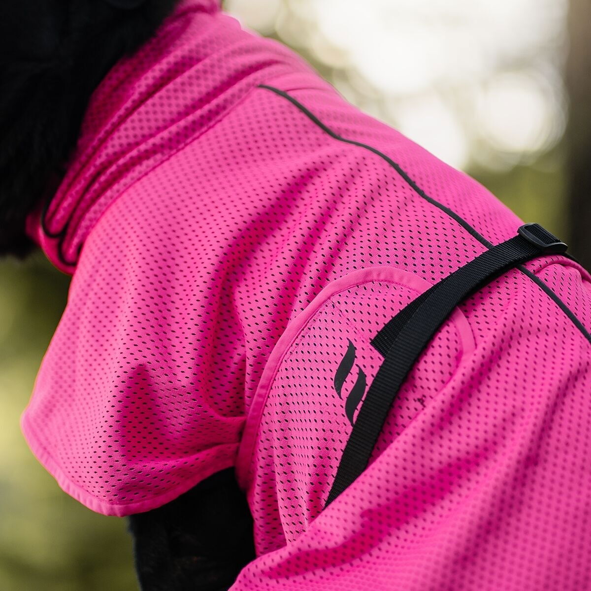 Back on Track Mesh jacket Limited Edition, Hot Pink