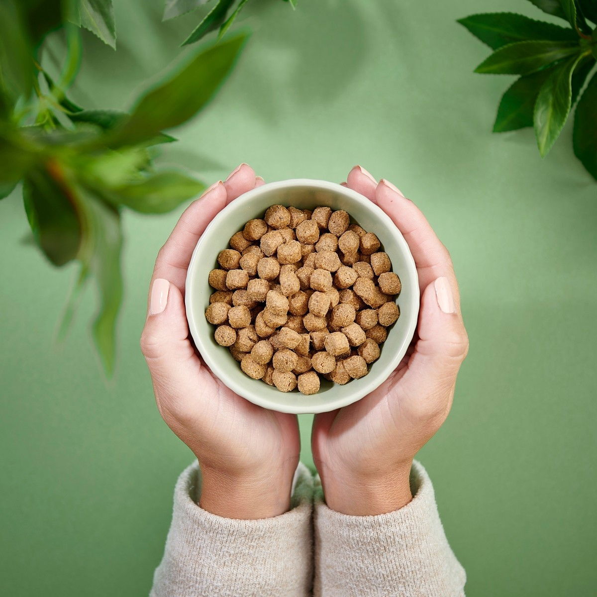 Purenatural Cat Adult Large Chicken