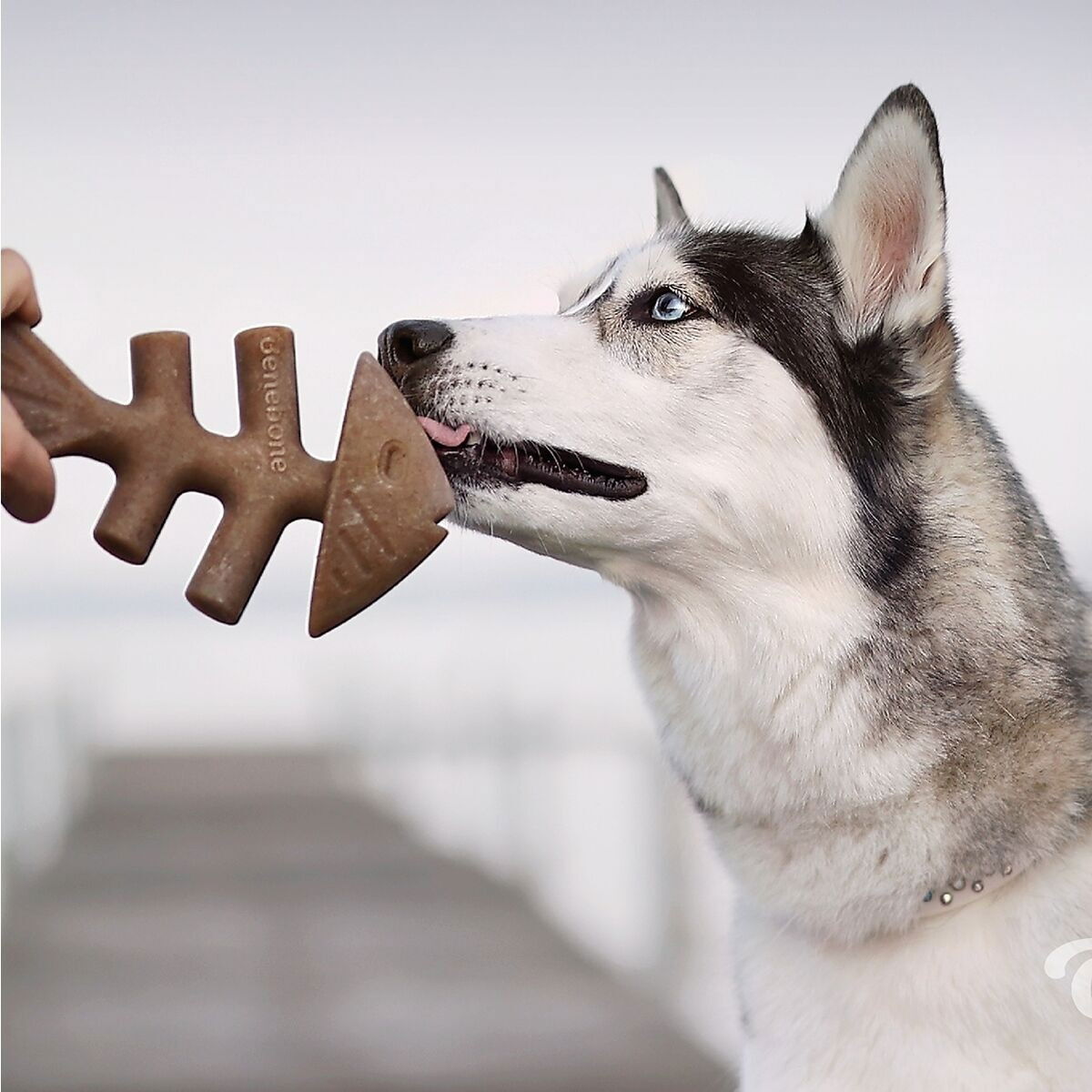 Benebone Fiskben i Nylon med Smak av Lax