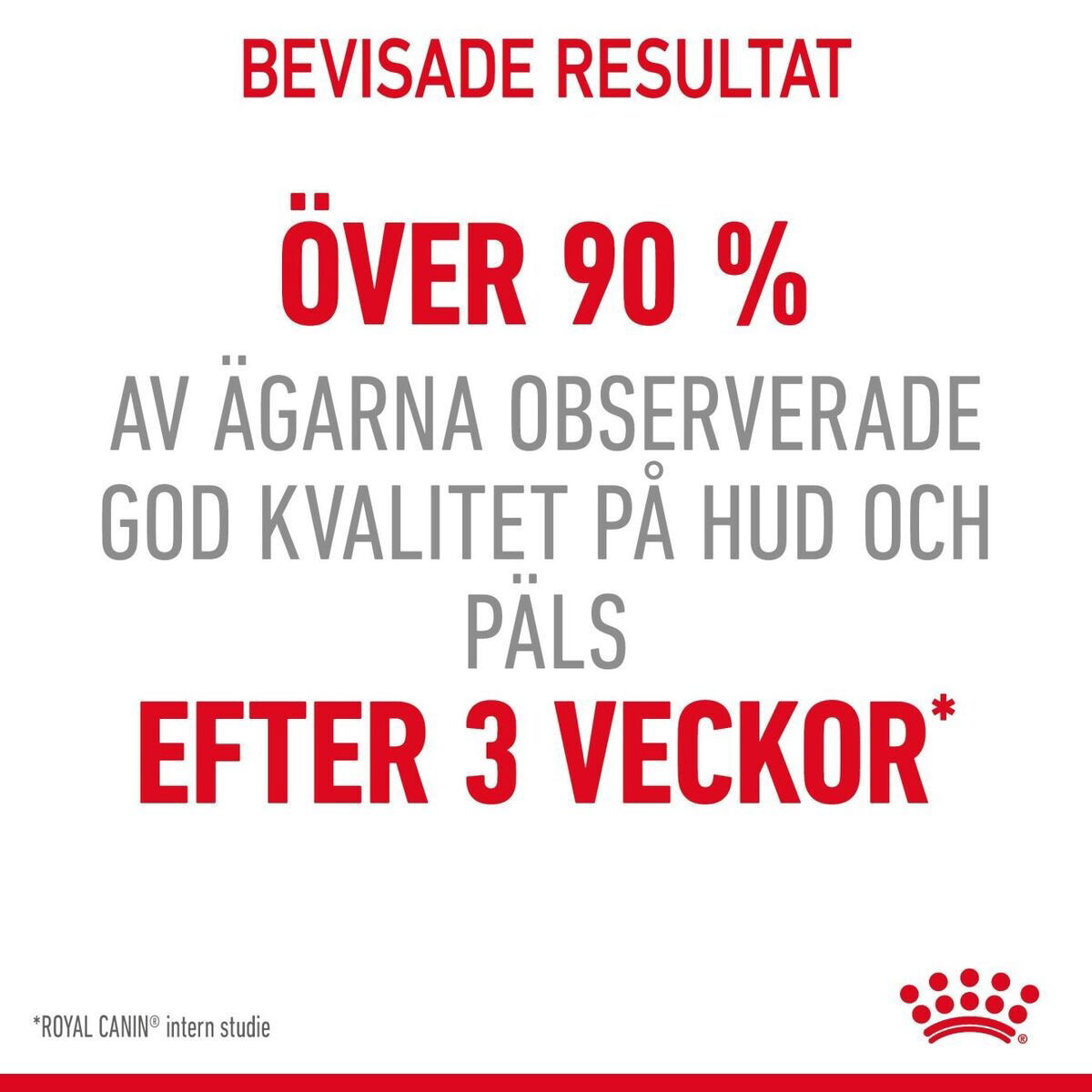 Royal Canin Hair & Skin Care Adult torrfoder för katt