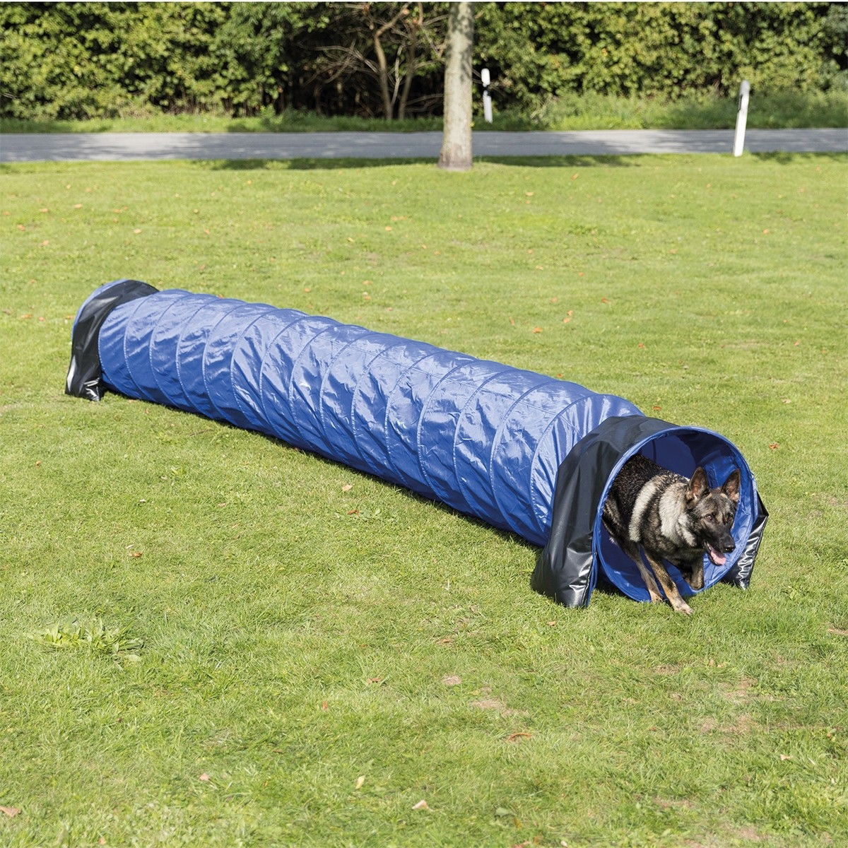 Dog Activity Agility basic tunnel, ø 60 cm/5 m, blue