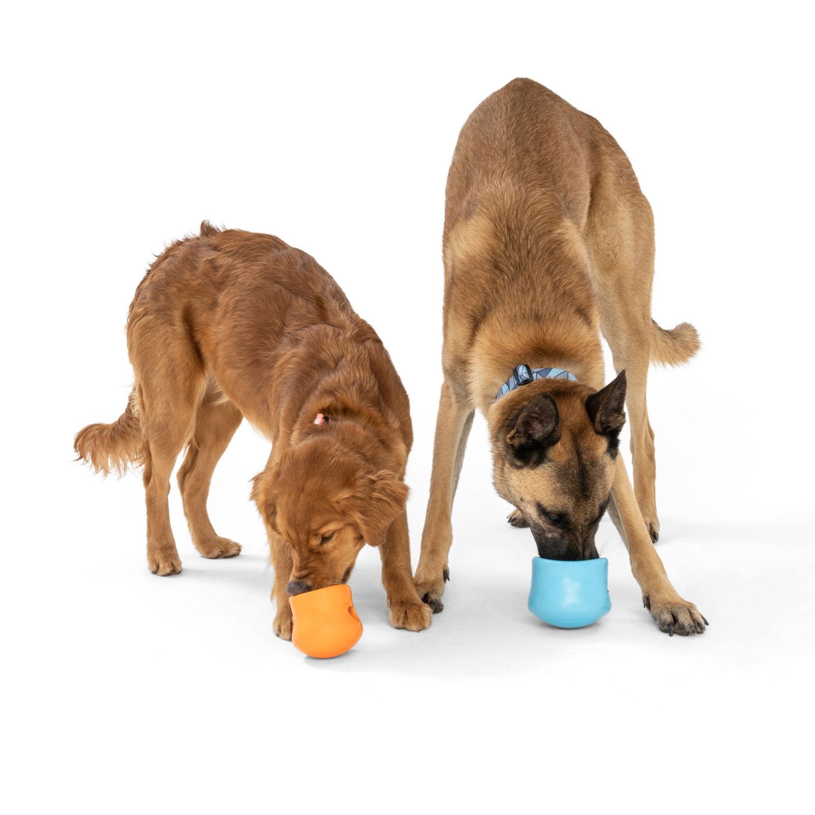 West Paw Toppl aqua blue