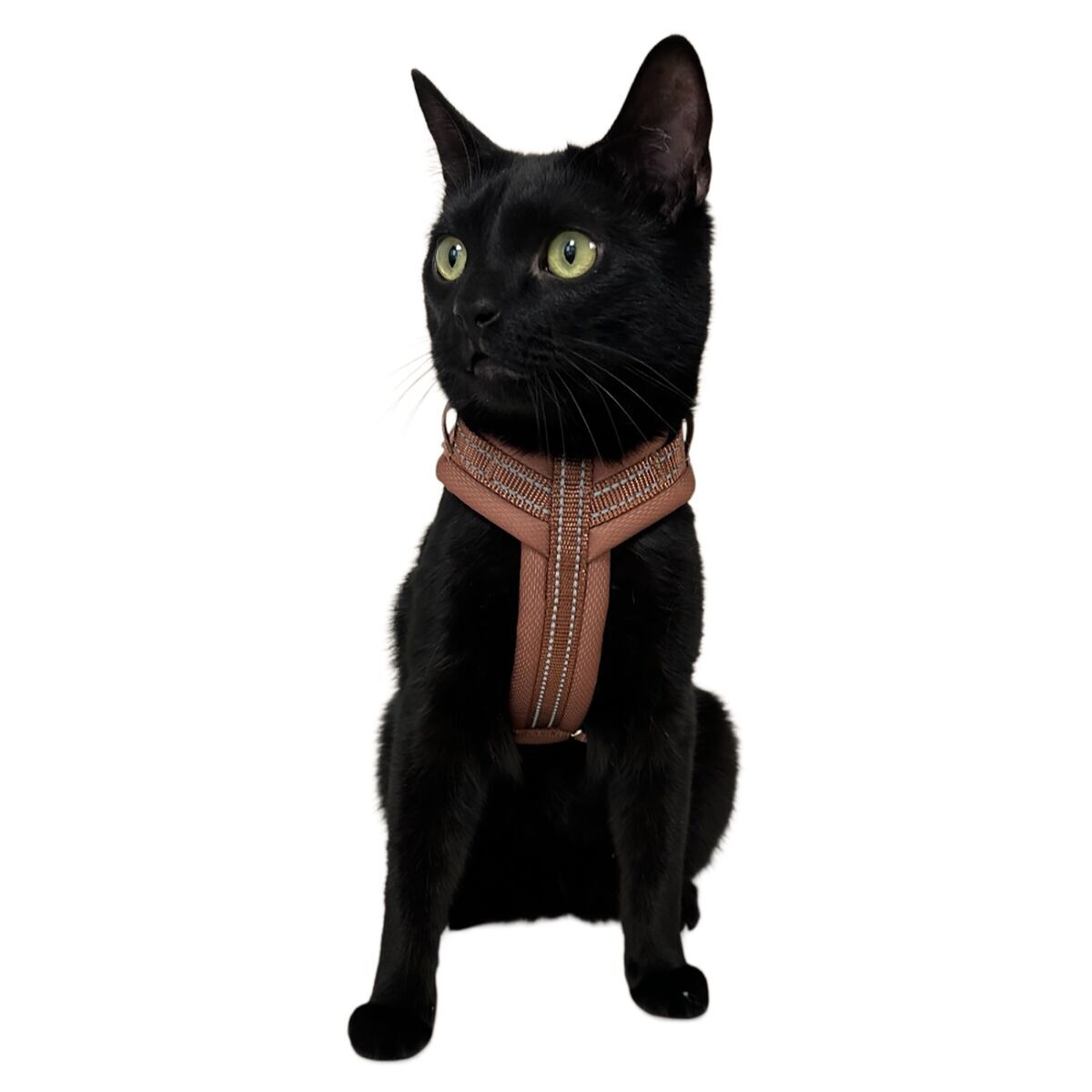 Trufois Comfy Harness Brown