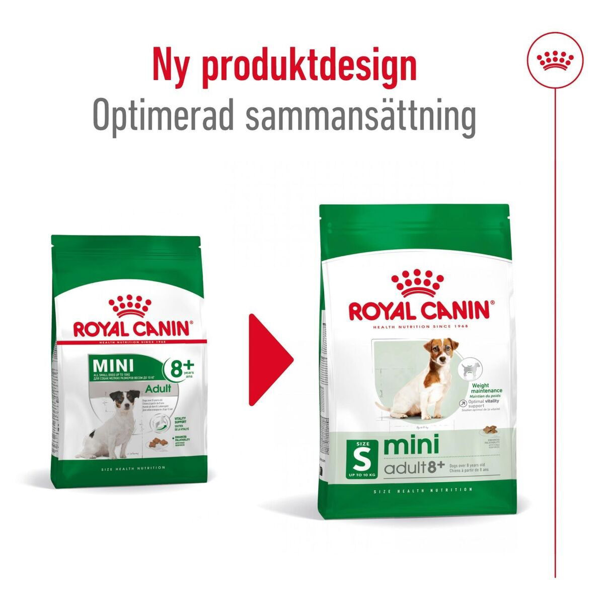 Royal Canin Mini Adult 8+ torrfoder för hund