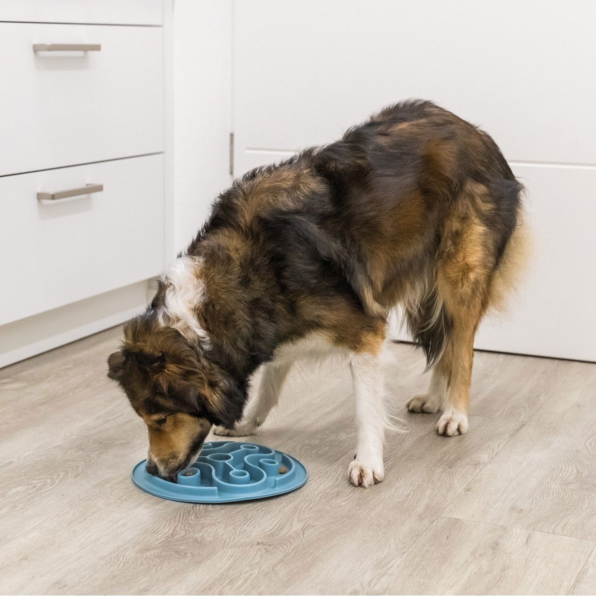 Aktivointilelu Trixie nuolumatto 28cm