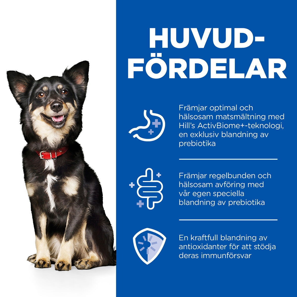 Hill's SP Canine Digestion Small & Mini 200g