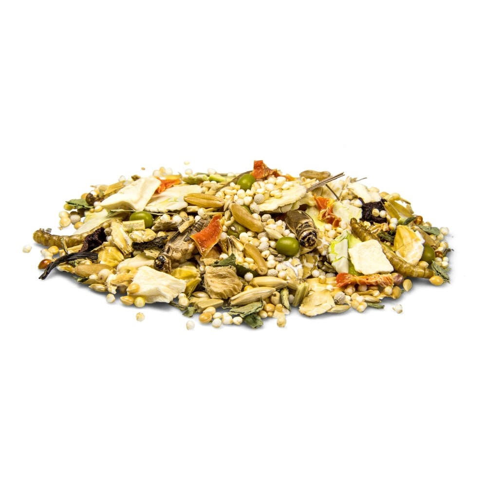 Bunny GerbilDream Expert