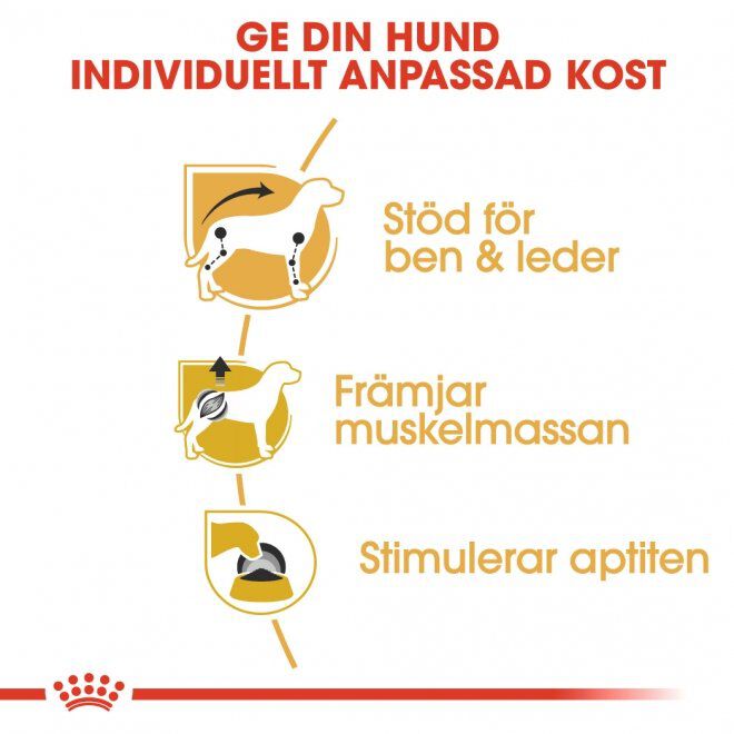 Royal Canin Dachshund Adult Loaf våtfoder för hund