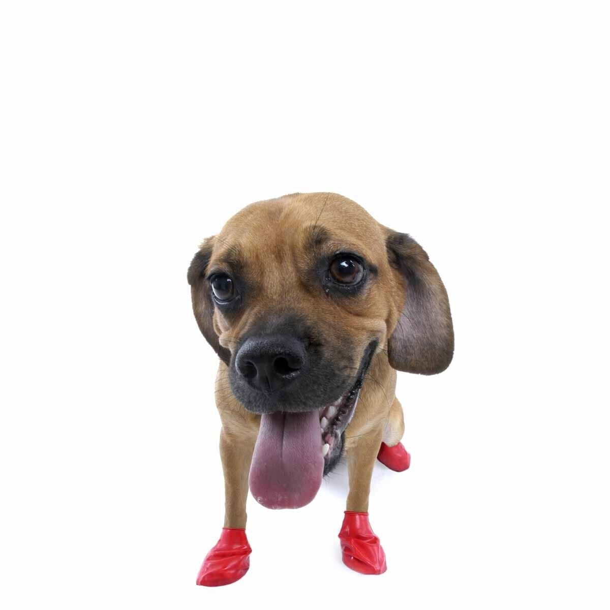 PawZ dog rubber boots color 12pcs