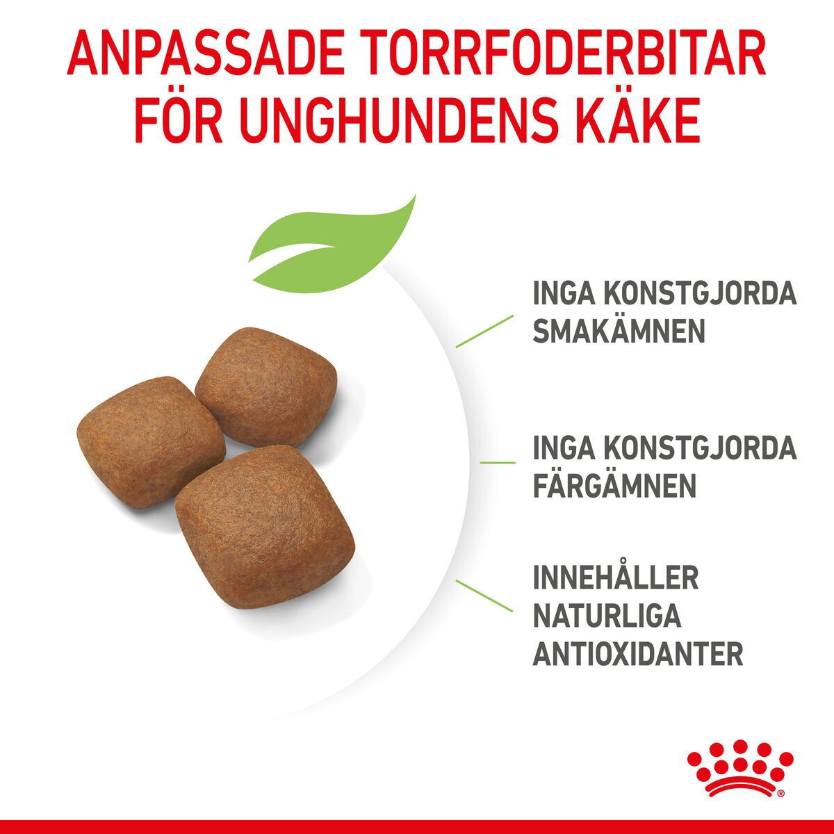 Royal Canin Giant Junior torrfoder för hundvalp