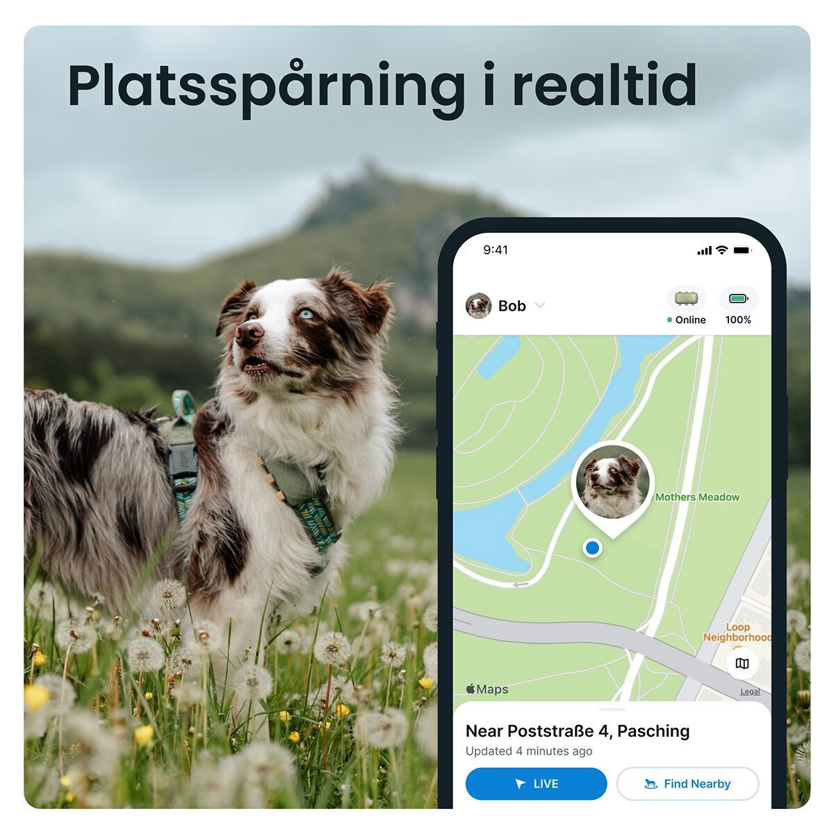 Tractive for DOG XL GPS