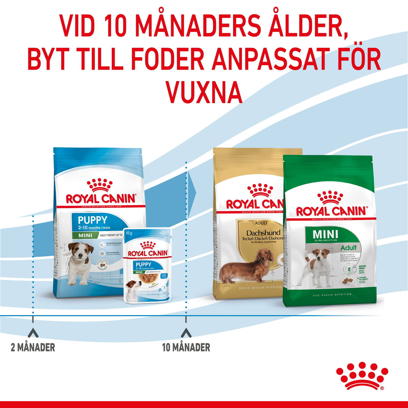 Royal Canin Mini Puppy torrfoder för hundvalp