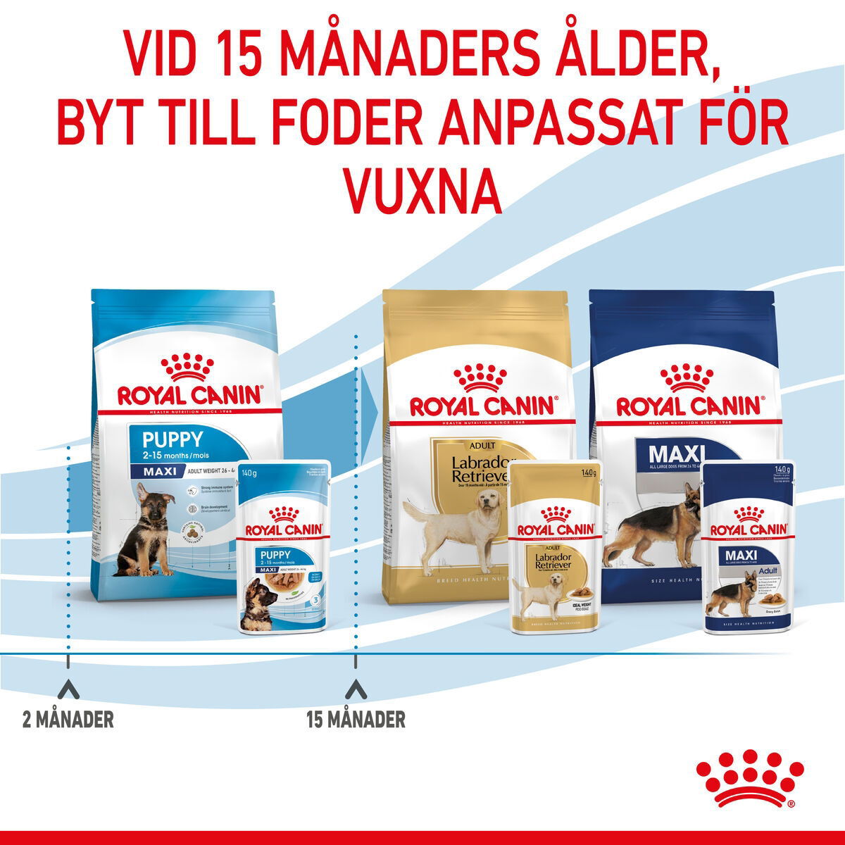 Royal Canin Maxi Puppy Gravy våtfoder för hundvalp