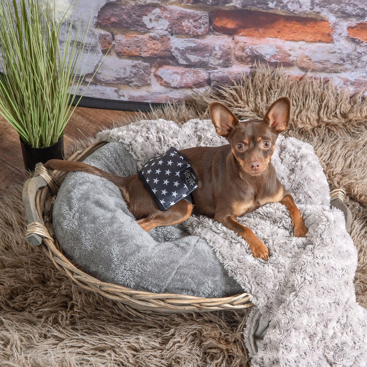 RuttuNuttu male wrap star, black