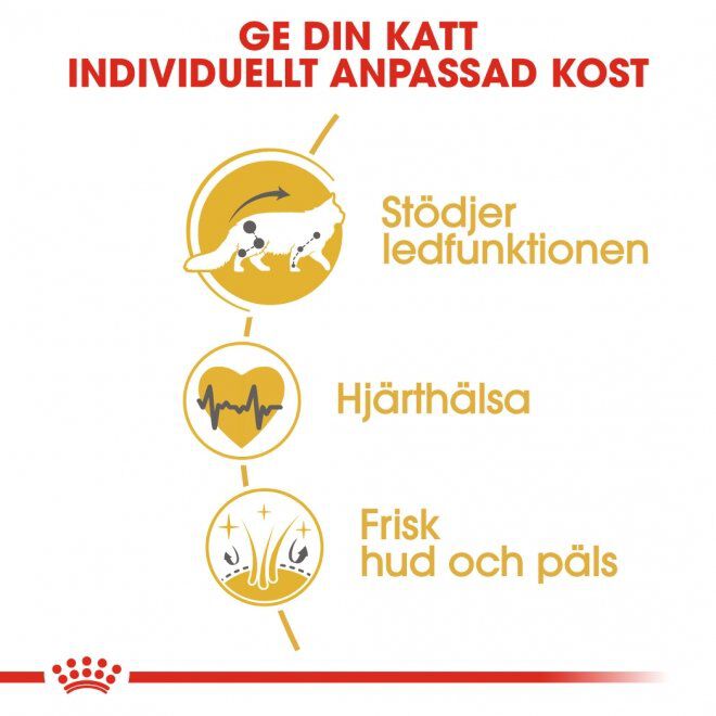 Royal Canin Maine Coon 400 g