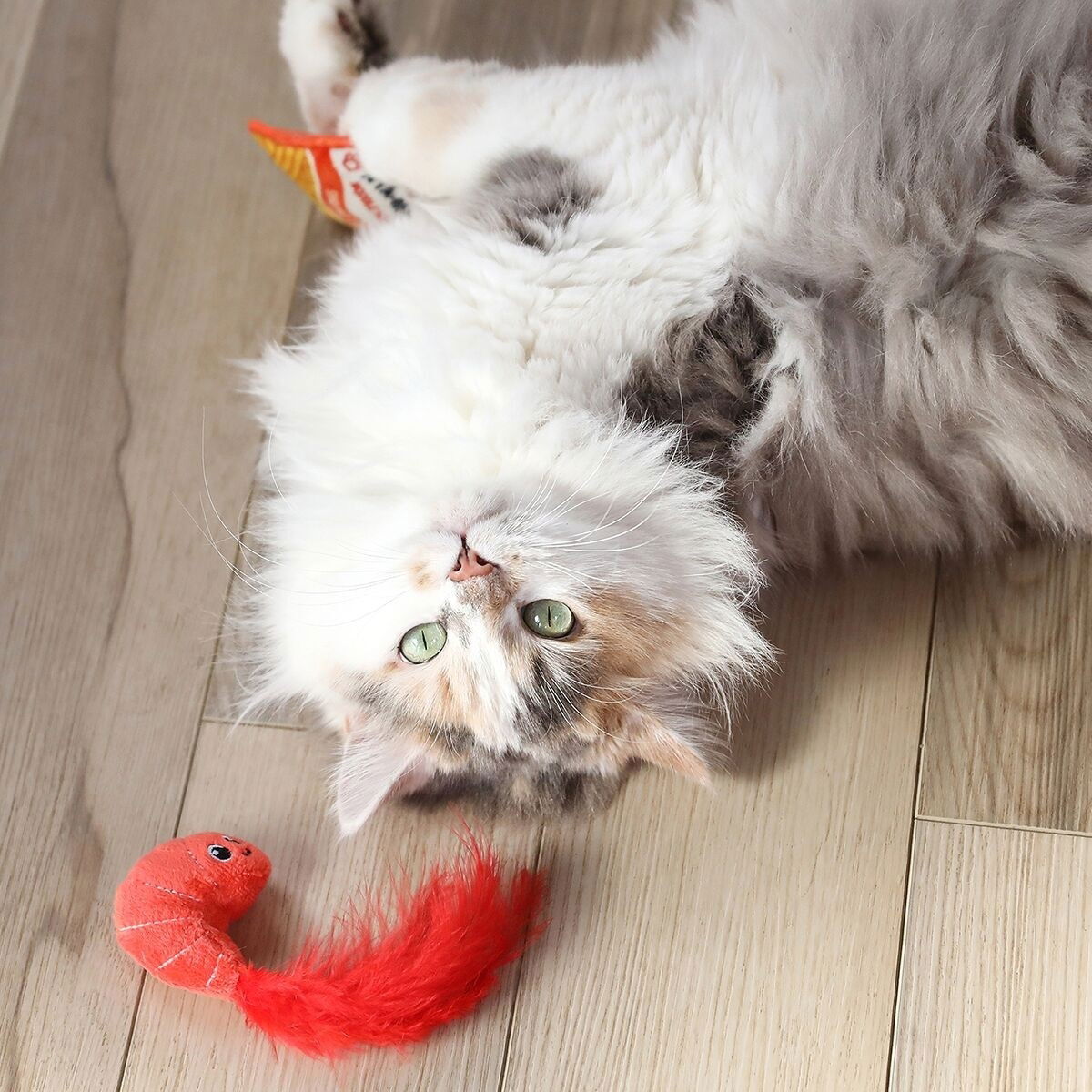 Quirky Kitty Send Noods Ramen