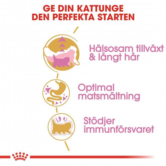 Royal Canin Persian Kitten torrfoder för kattunge