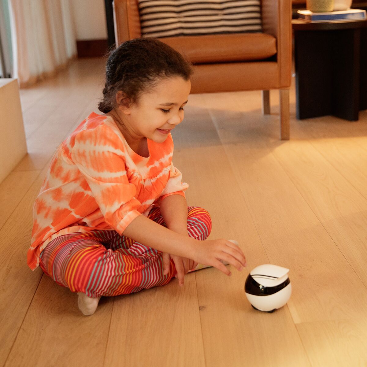 Enabot EBO Air 2 PET Companion Robot