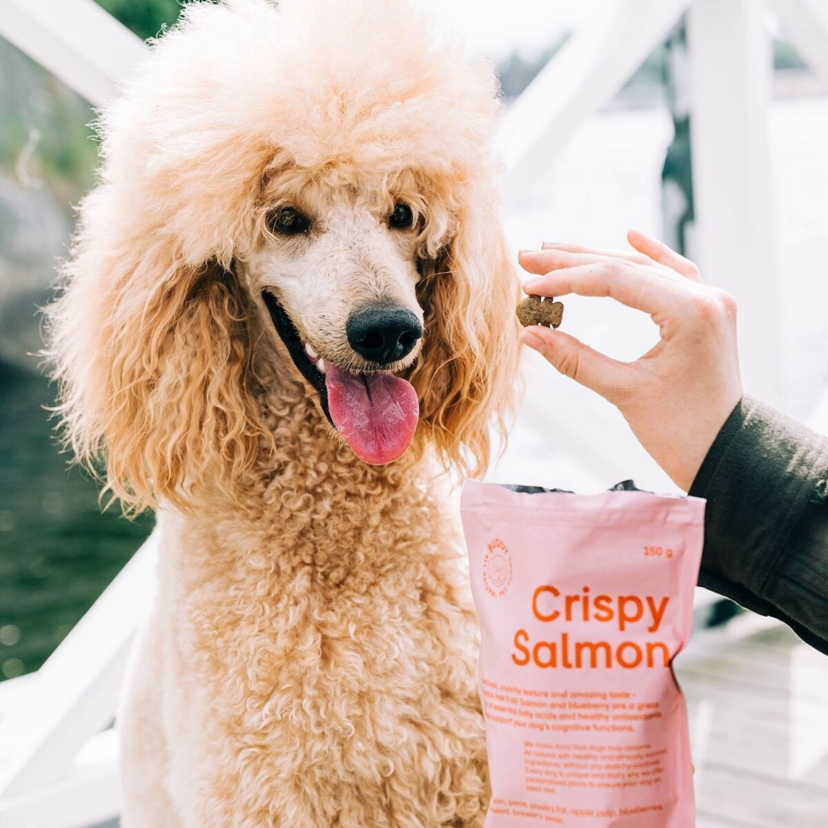 Buddy Crispy Salmon 150g