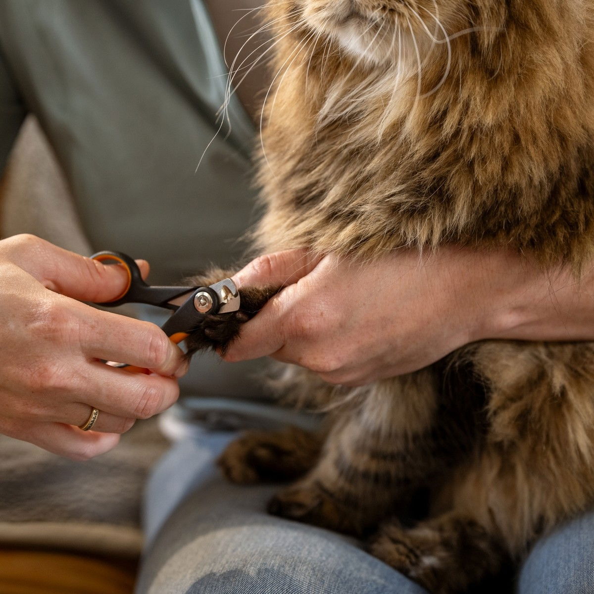 Fiskars nail clippers small