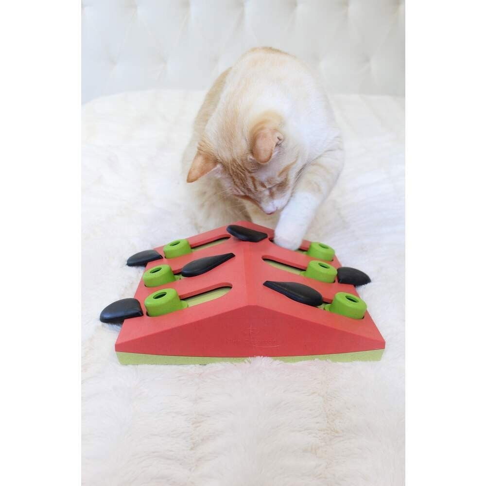 Nina Ottosson Cat Melon Madness Puzzle and Play Red
