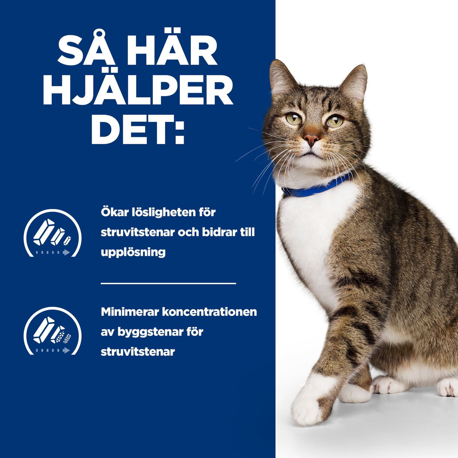 Hills Diet Cat s/d 1,5kg