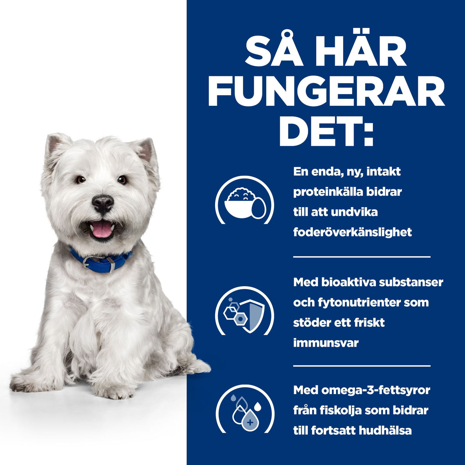 Hill's Diet Dog Derm Complete Mini