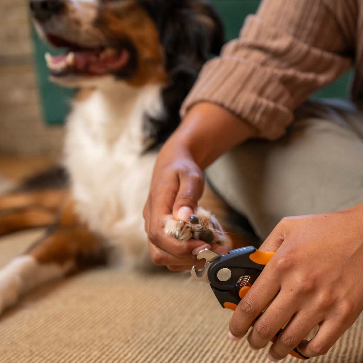 Fiskars nail clippers large