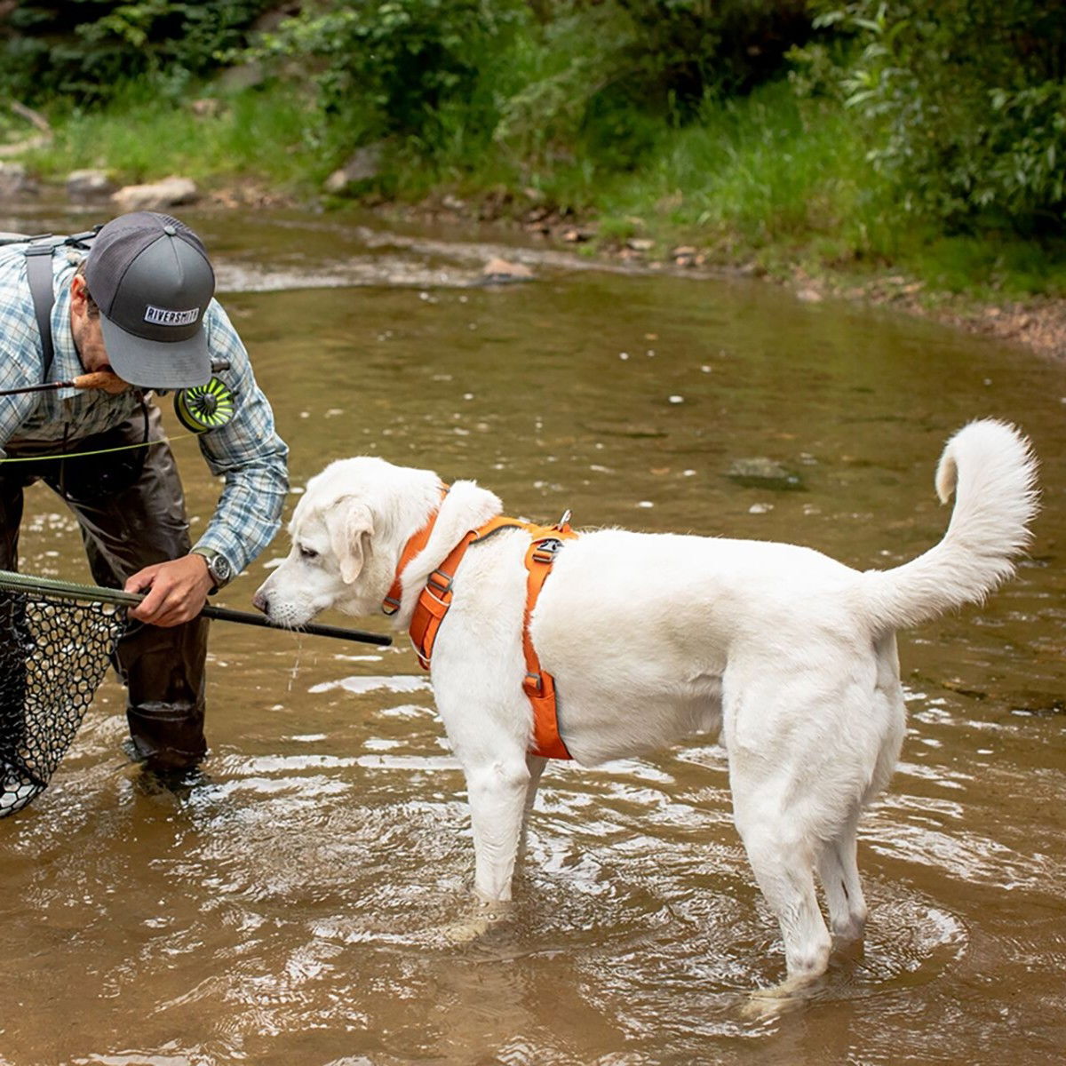 Ruffwear Front Range harness, Blaze Orange