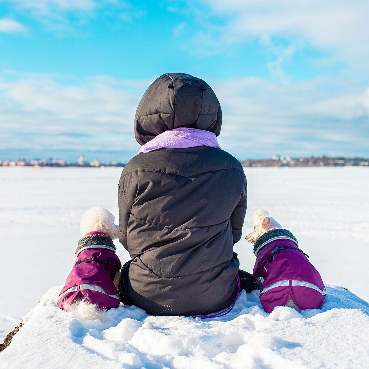 PerusPomppa for harness Plum