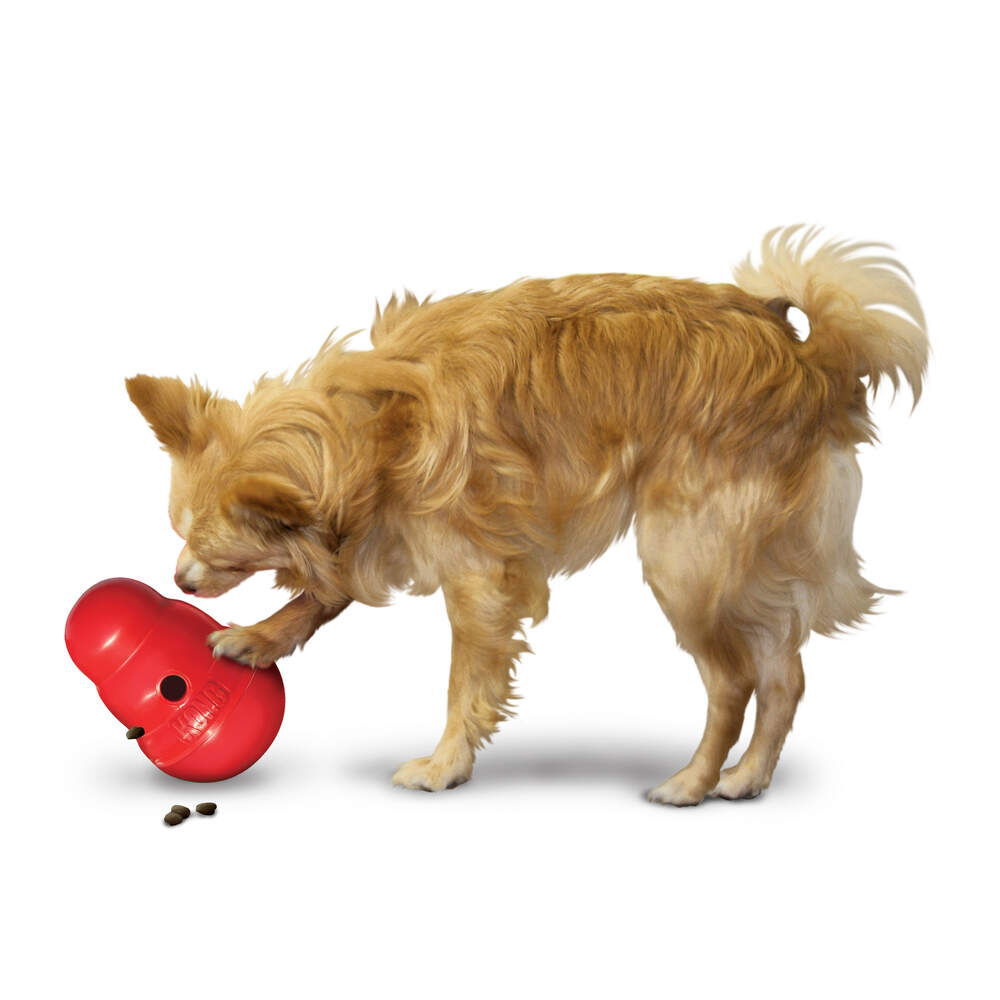 KONG Wobbler Activation Toy Red 