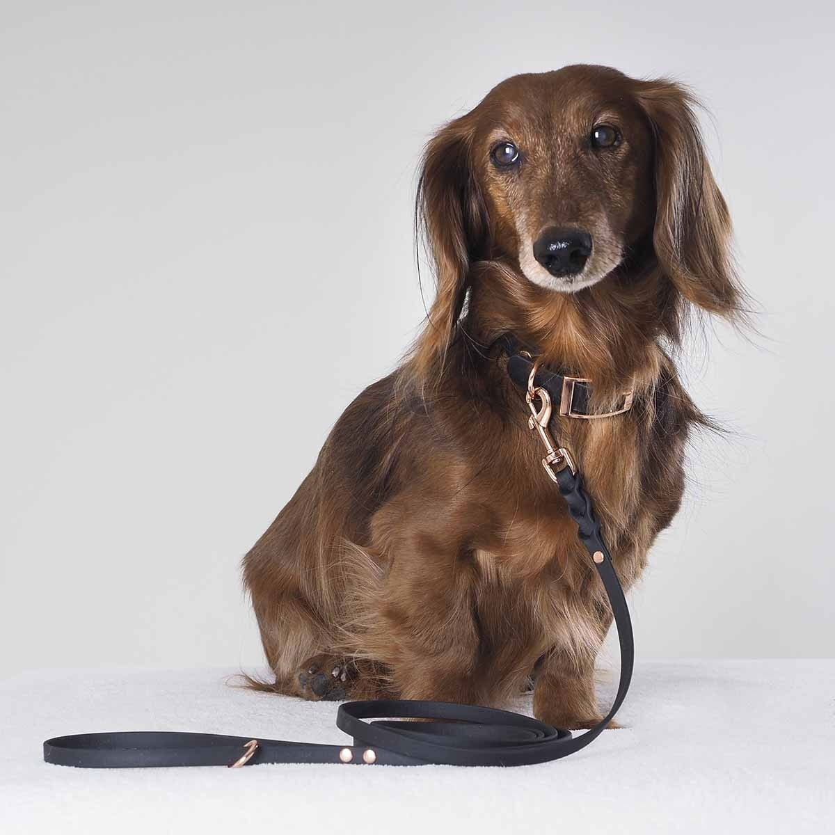 Tyylivoitto Classy narrow collar, black