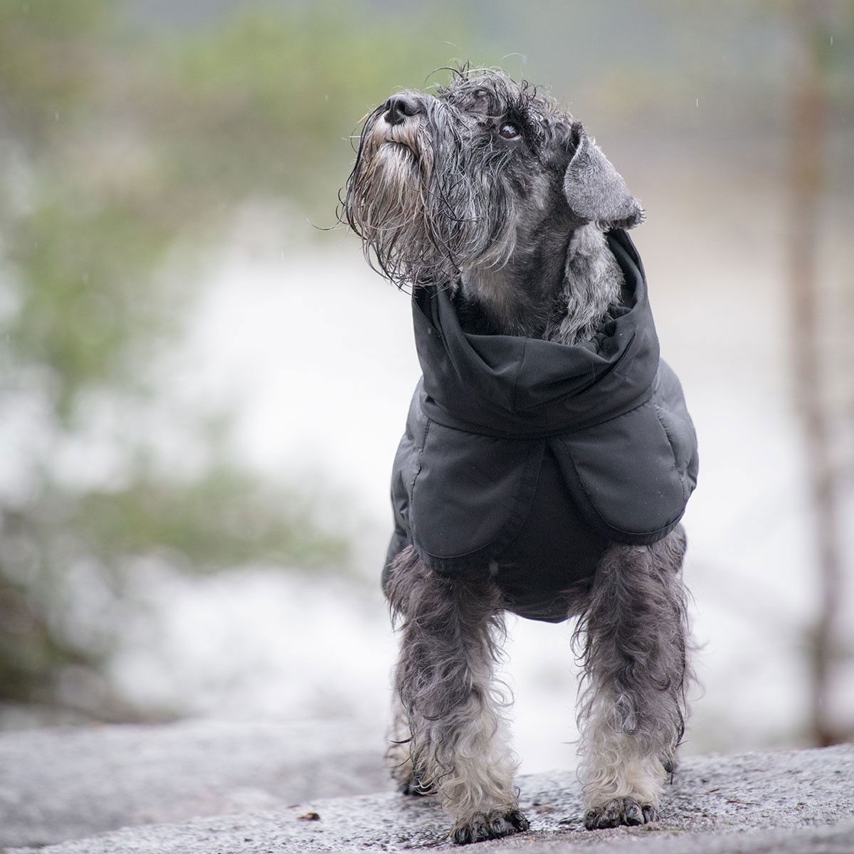 Feel Active Haga parka black