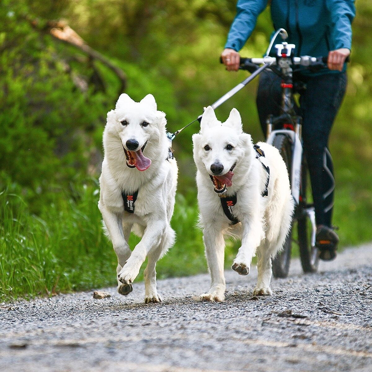 Non-stop Freemotion Dragsele 