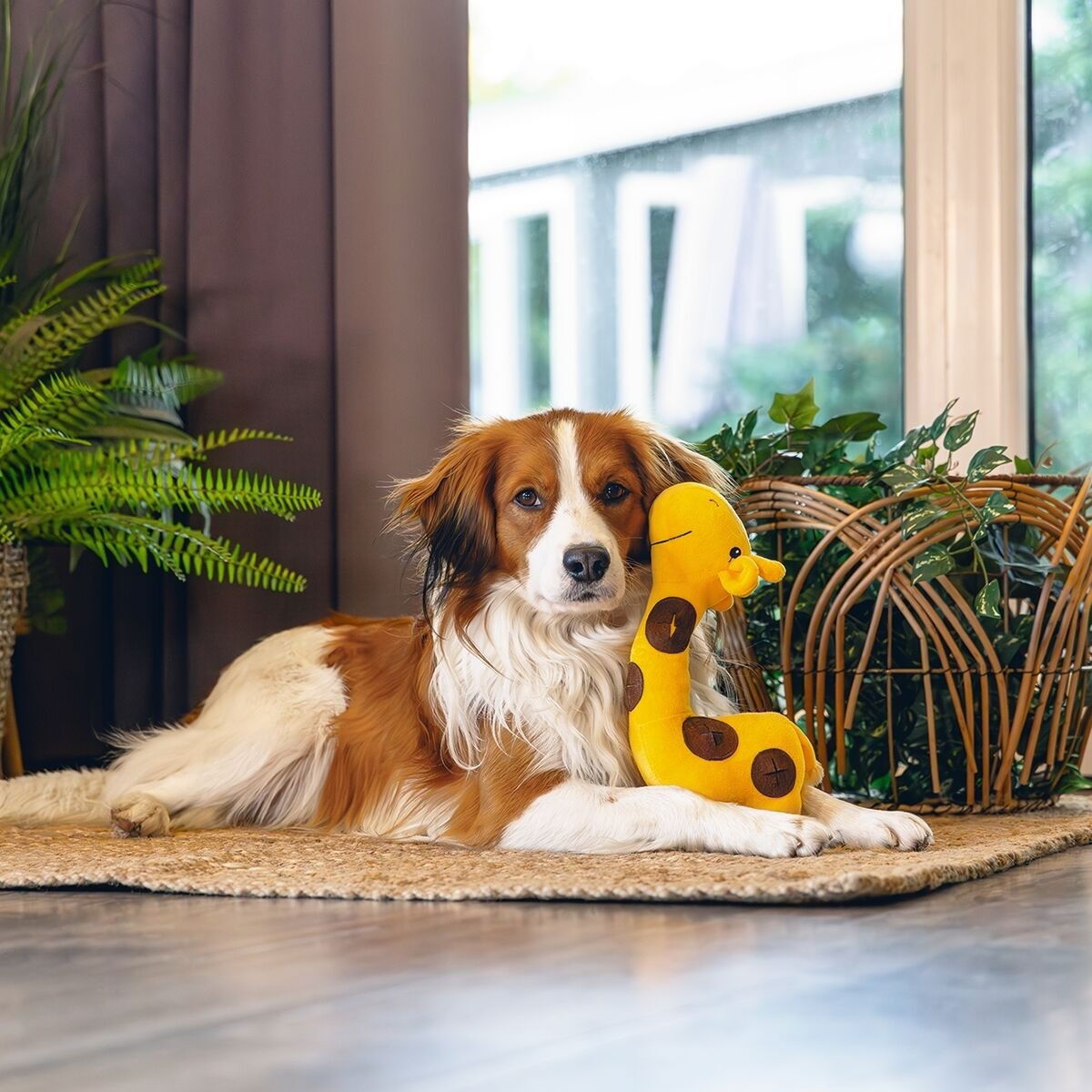 Beeztees Hide N Seek Jungle Gigi Giraffe