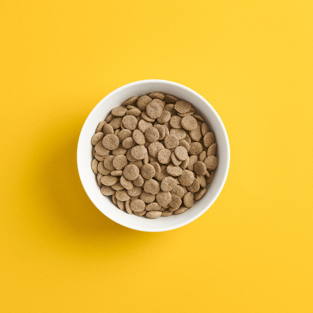 Smaak Dog Adult Grain Free Fish