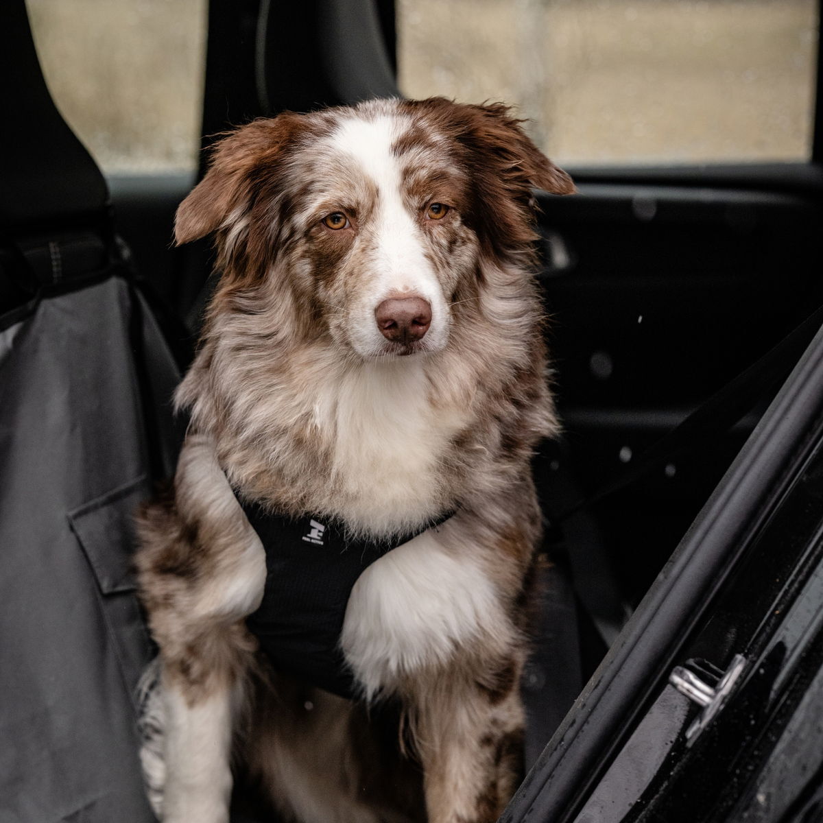 Feel Active bilsele svart