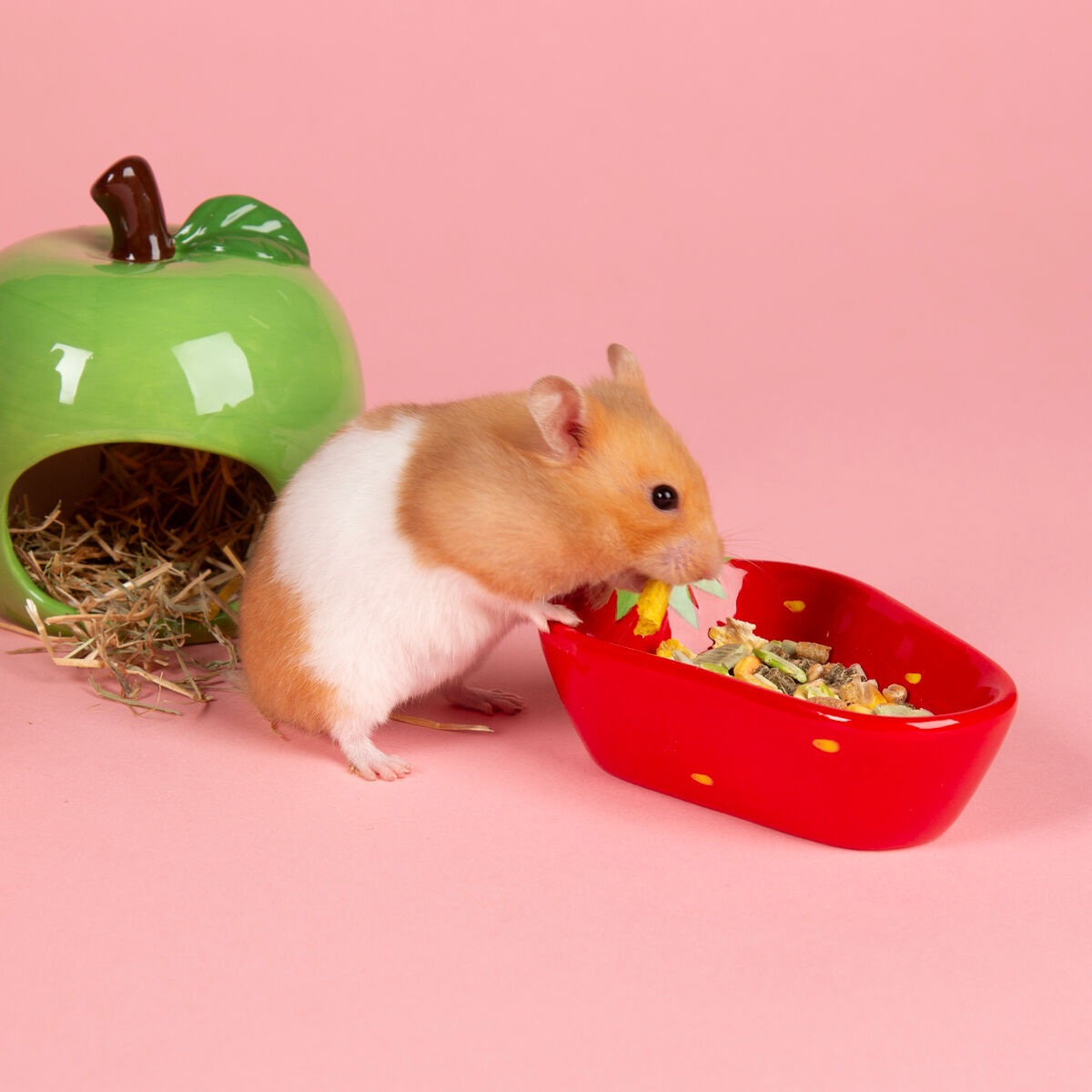 Scruffs Small animal Fruit Ceramic Set