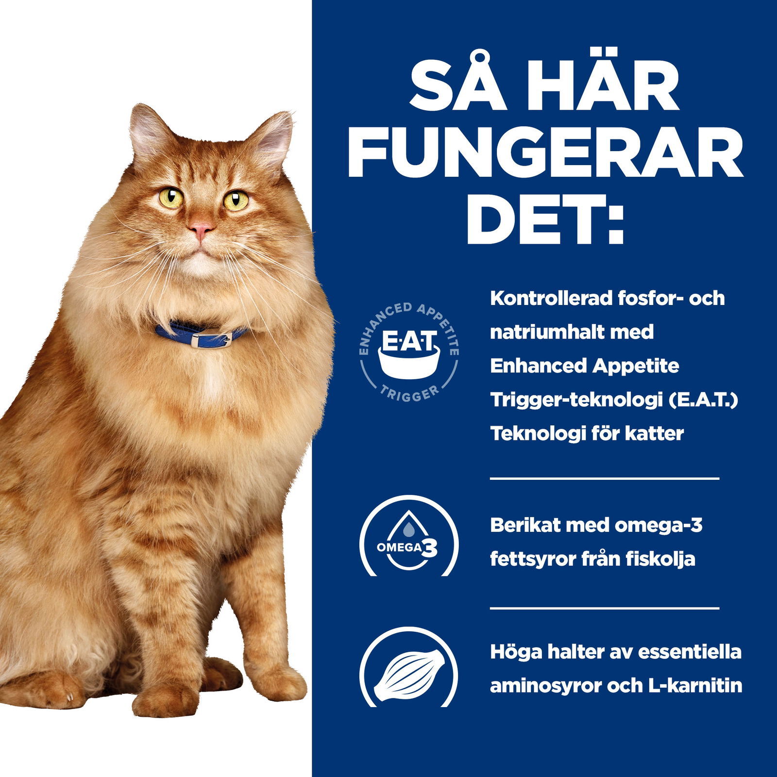 Hills Diet Cat k/d + Mobility Portionspåse 12x85g