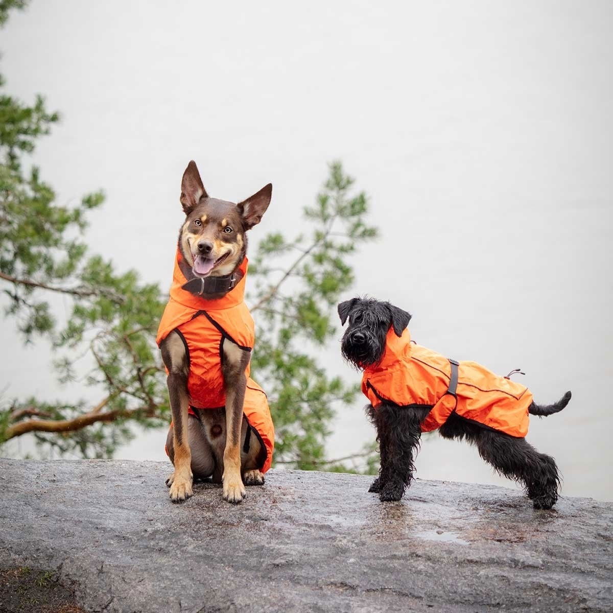 Feel Active Color reflective raincoat orange