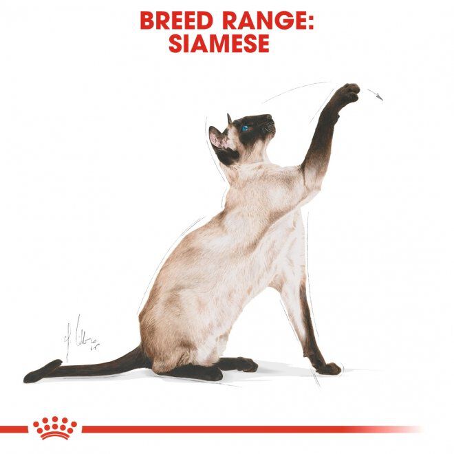 Royal Canin Siamese Adult torrfoder för katt