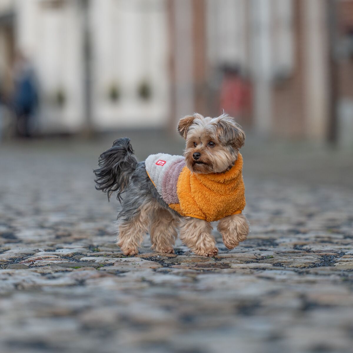 51 Degrees North Turtle Teddy Hundtröja Orange Mix