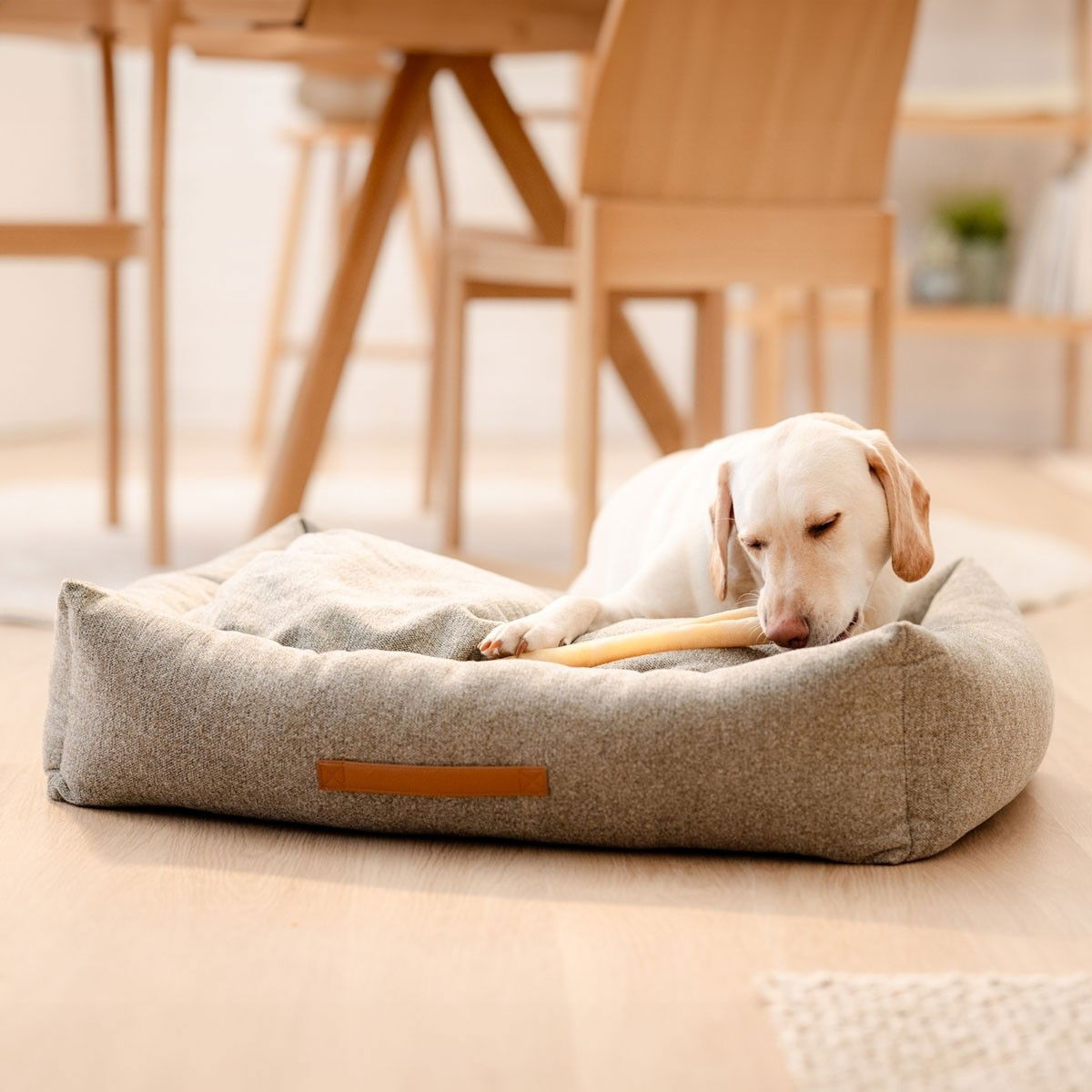 Basic WellB orthopedic bed lichen