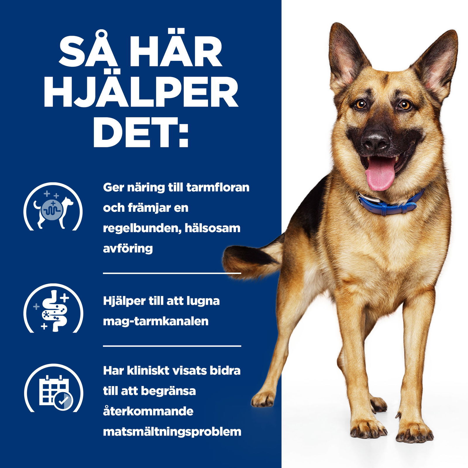 Prescription Diet Gastrointestinal Biome Hund med Kyckling